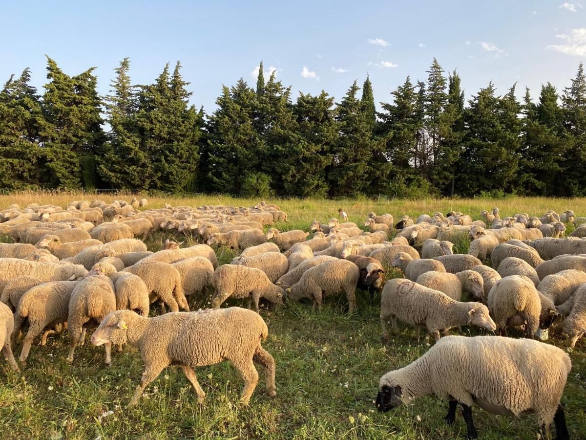 Studio A La Ferme Βίλα Αρλ Εξωτερικό φωτογραφία