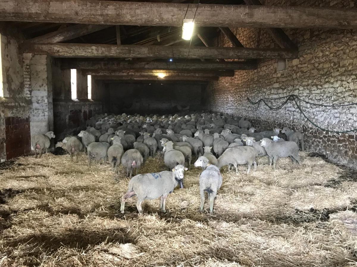 Studio A La Ferme Βίλα Αρλ Εξωτερικό φωτογραφία