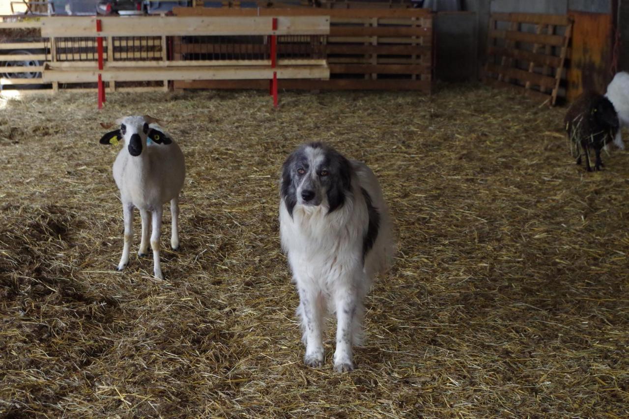 Studio A La Ferme Βίλα Αρλ Εξωτερικό φωτογραφία