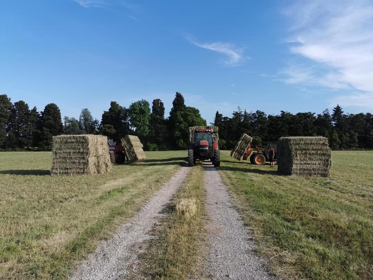 Studio A La Ferme Βίλα Αρλ Εξωτερικό φωτογραφία